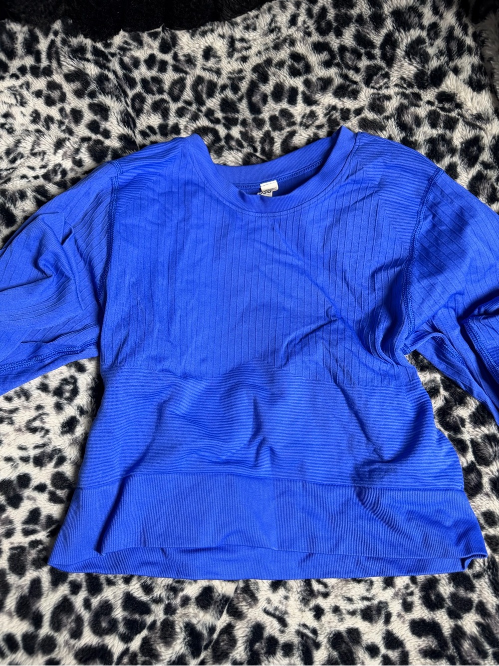 Women's Royal Blue Ribbed Long Sleeve Crewneck Top